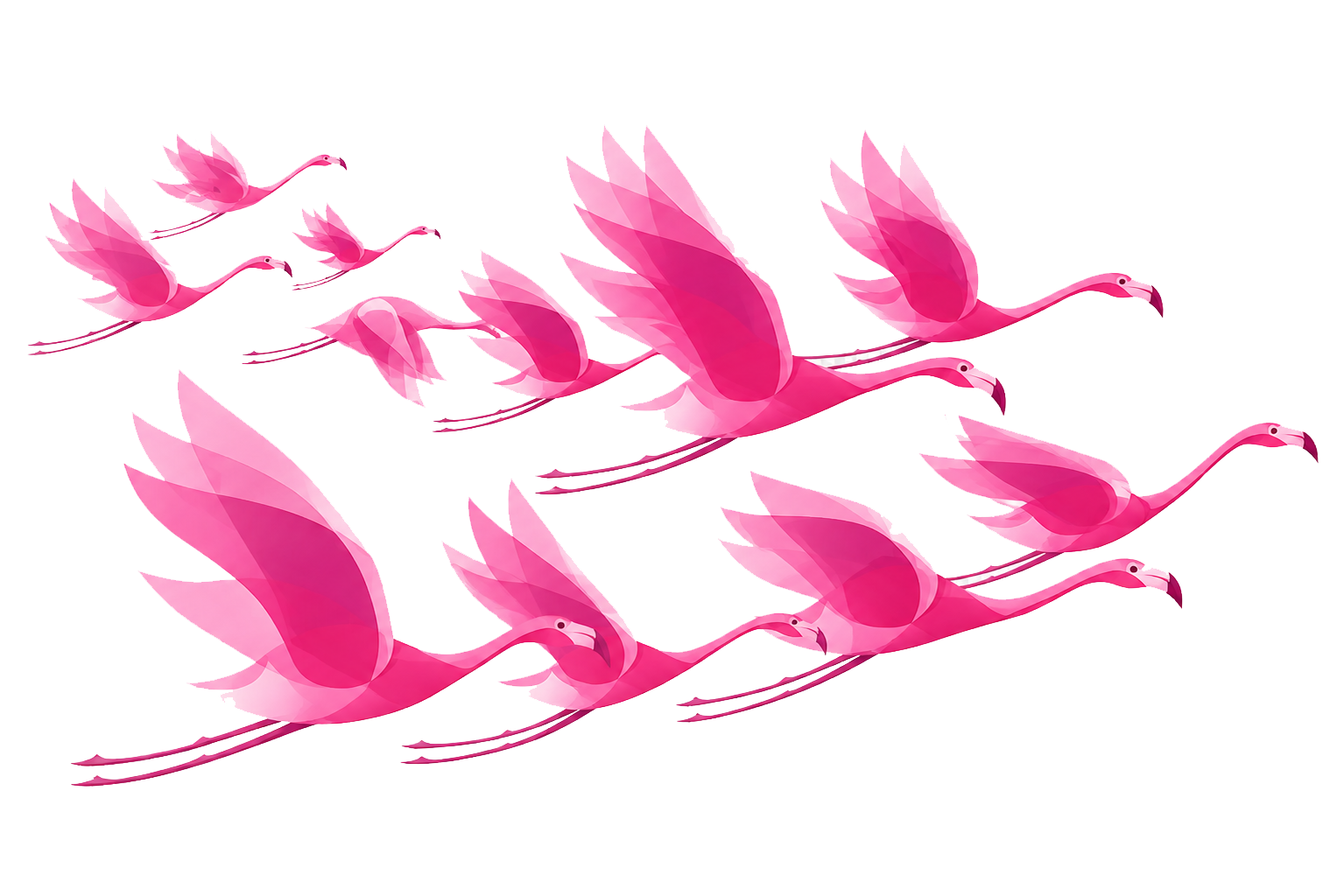 Flying flamingos